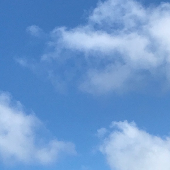 Meet your Posher, Rafael - Picture 1 of 1